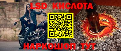 прущие крисы Бийск