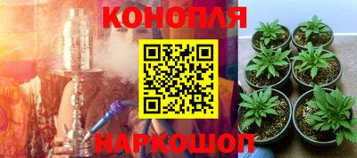 шишки Беслан