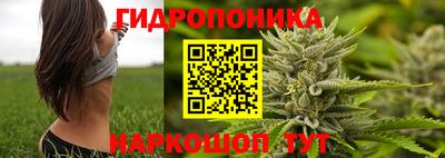 шишки Беслан