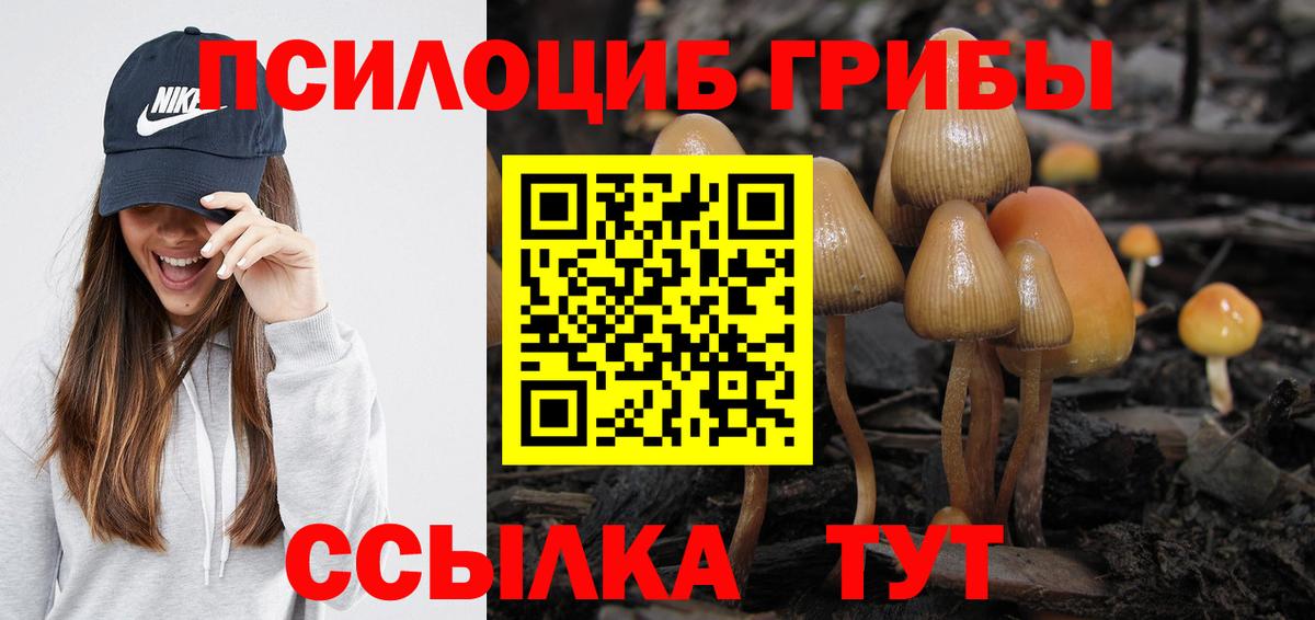 Псилоцибиновые грибы Psilocybine cubensis  Псилоцибиновые грибы Psilocybe  сколько стоит  Карпинск  Вход с VPN 
